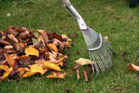raking leaves - seasonal lawn maintenance in mckinney, tx