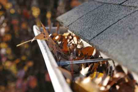 gutters filled with leaves, need gutter guards
